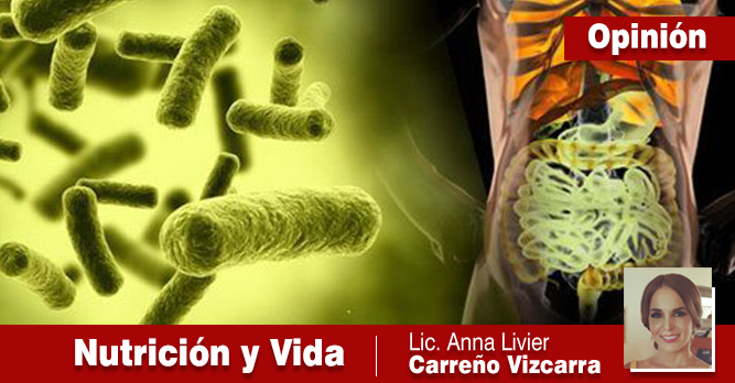 CÓMO PUEDES PREVENIR LA DISBIOSIS INTESTINAL LLEVANDO UNA DIETA EQUILIBRADA