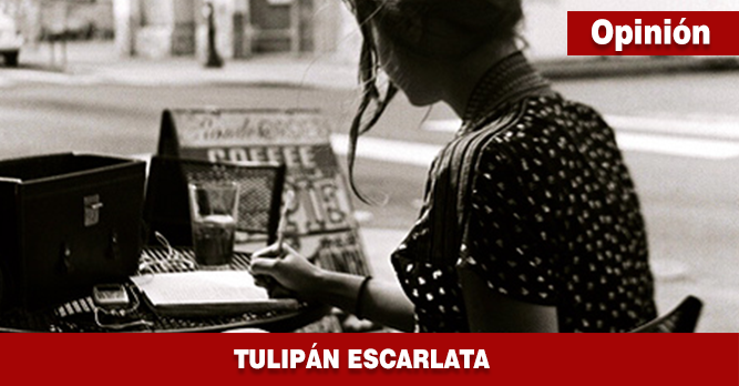 TULIPÁN ESCARLATA