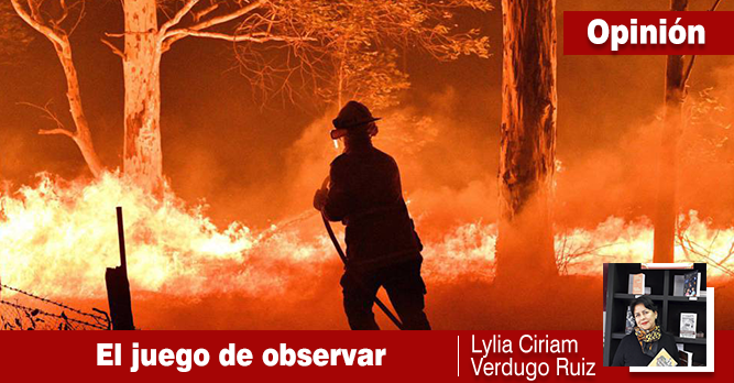 EL JUEGO DE OBSERVAR