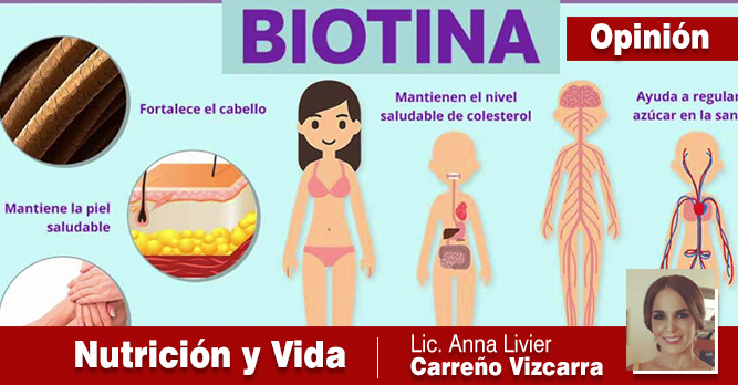 ¿POR QUÉ ES IMPORTANTE MANTENER UN BUEN NIVEL DE BIOTINA EN EL CUERPO?
