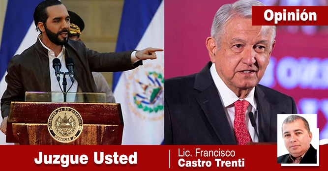 EL ESTADISTA Y EL GANSO