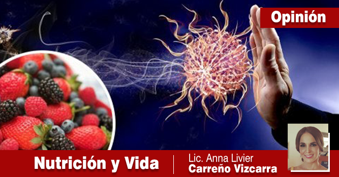 ALIMENTOS PARA FORTALECER NUESTRO SISTEMA INMUNE