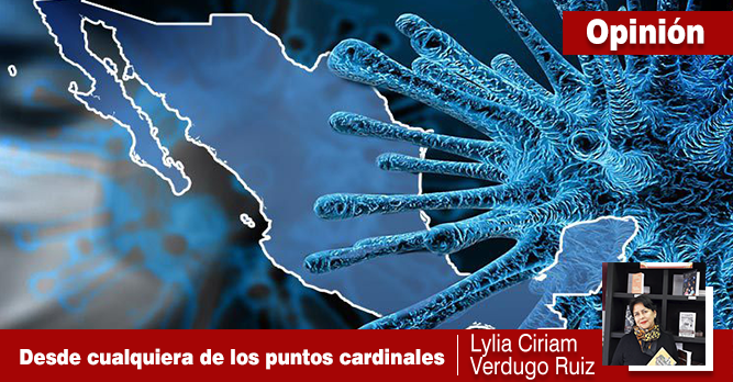 DESDE CUALQUIERA DE LOS PUNTOS CARDINALES