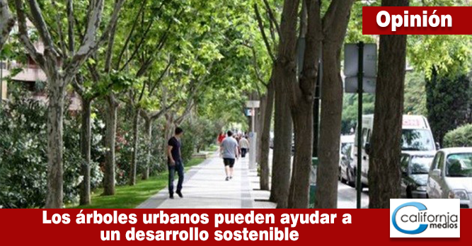 LOS ÁRBOLES URBANOS PUEDEN AYUDAR A UN DESARROLLO SOSTENIBLE CON EL APOYO DE UNA POLÍTICA ADECUADA
