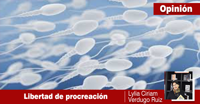 La libertad de procrear hijos, decisión que nos trasciende.