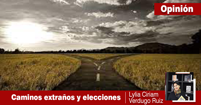 Entre caminos extraños, llegamos a una elección.
