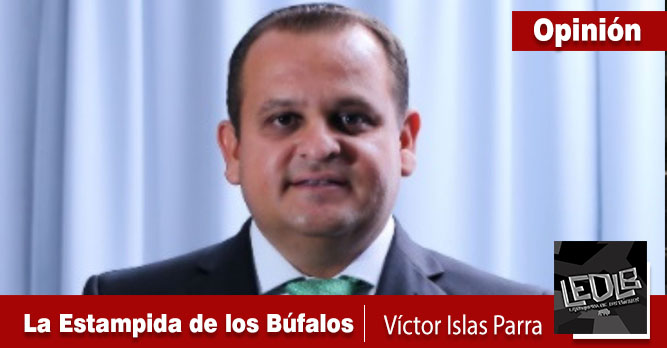 La Estampida de los Búfalos