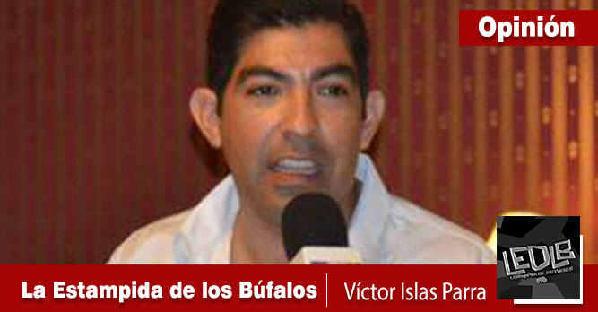 La estampida de los Búfalos