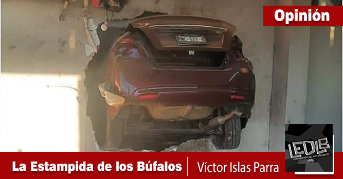 LA ESTAMPIDA DE LOS BÚFALOS