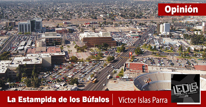 LA ESTAMPIDA DE LOS BÚFALOS