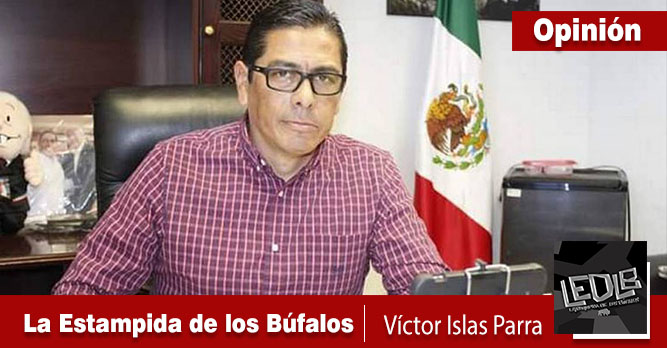 La estampida de los Búfalos