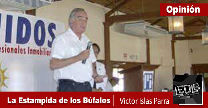 La Estampida de los Búfalos