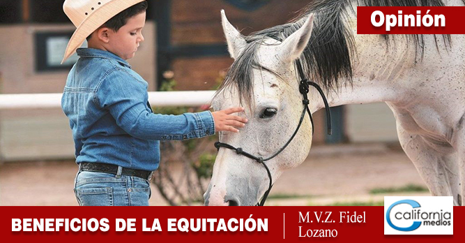 Beneficios de la equitación