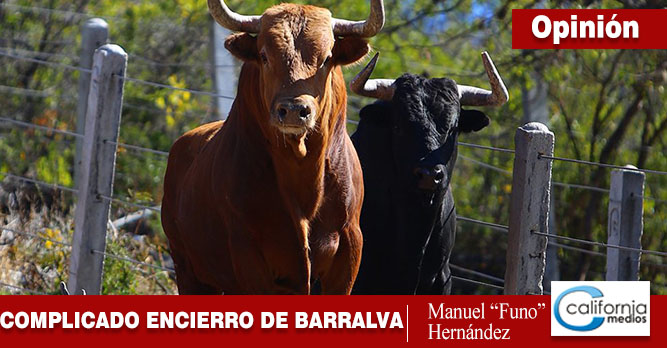 “COMPLICADO EL ENCIERRO DE BARRALVA…DE NUEVO: DIEGO”