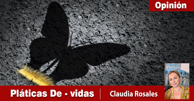 UN SEMI ABECEDARIO SANADOR DE LA “A” A LA “S”