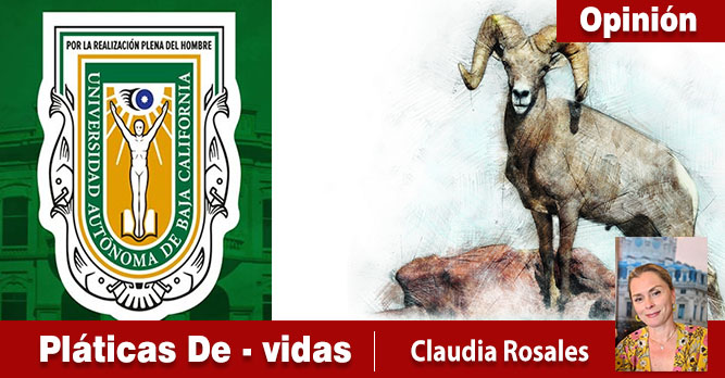 Del por qué no cambiar la letra del Lema y del Canto Universitario