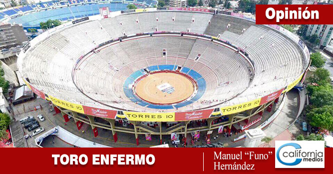 TORO ENFERMO