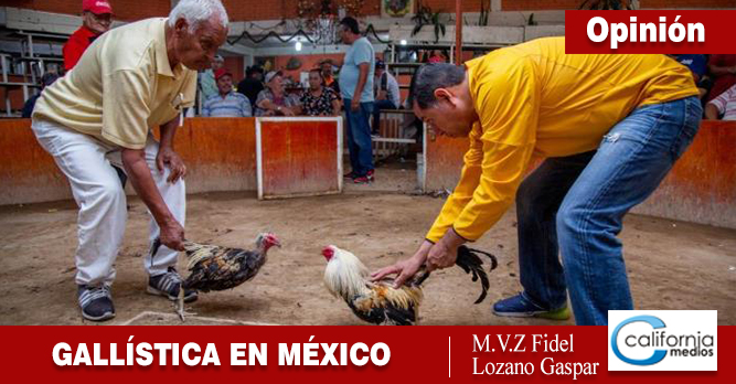 La Gallística en México